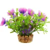 Bacomba Purple 4" Aquarium Plant
