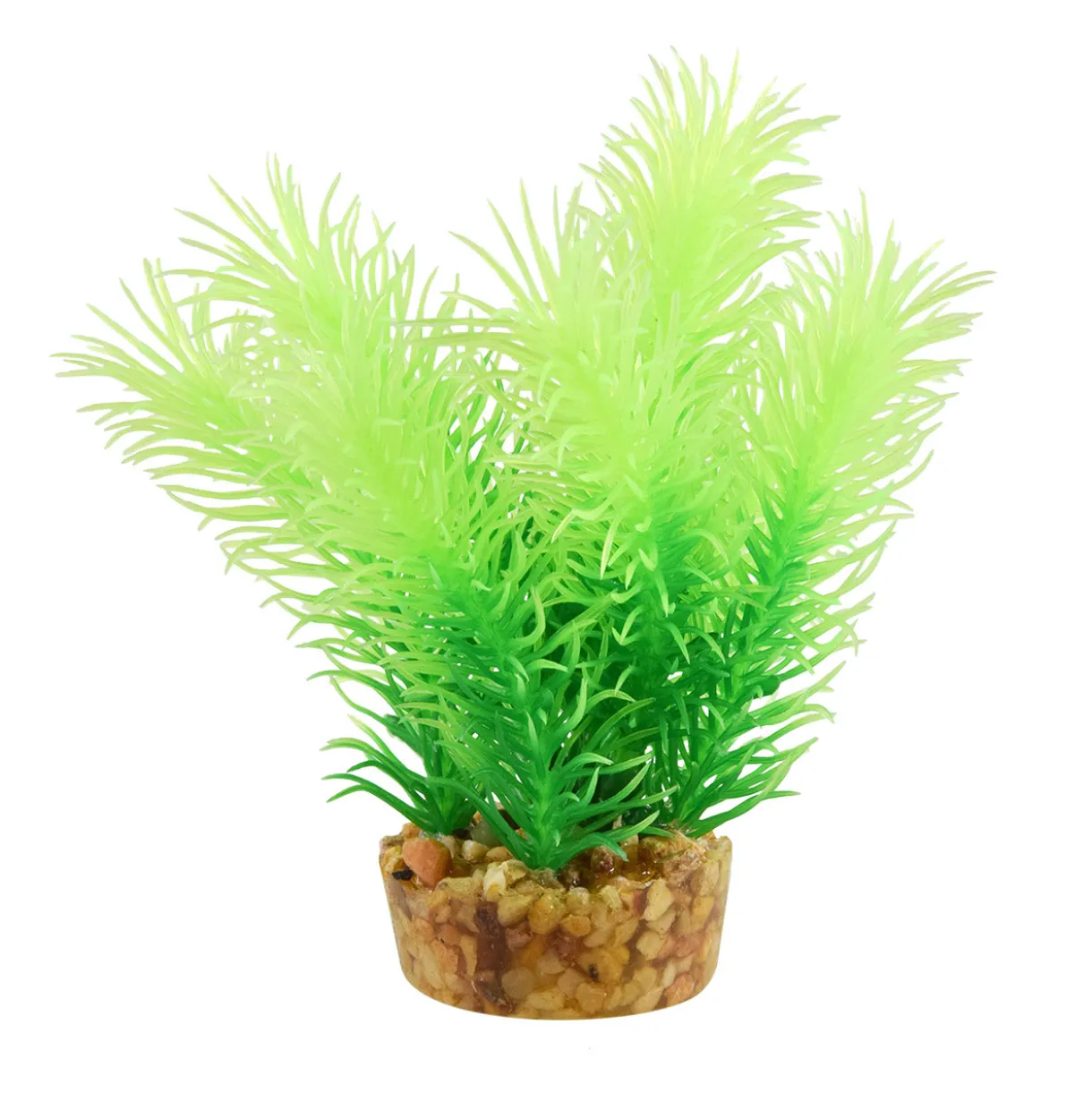 Cabomba 4" Aquarium Plant