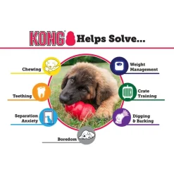 Classic Kong Medium