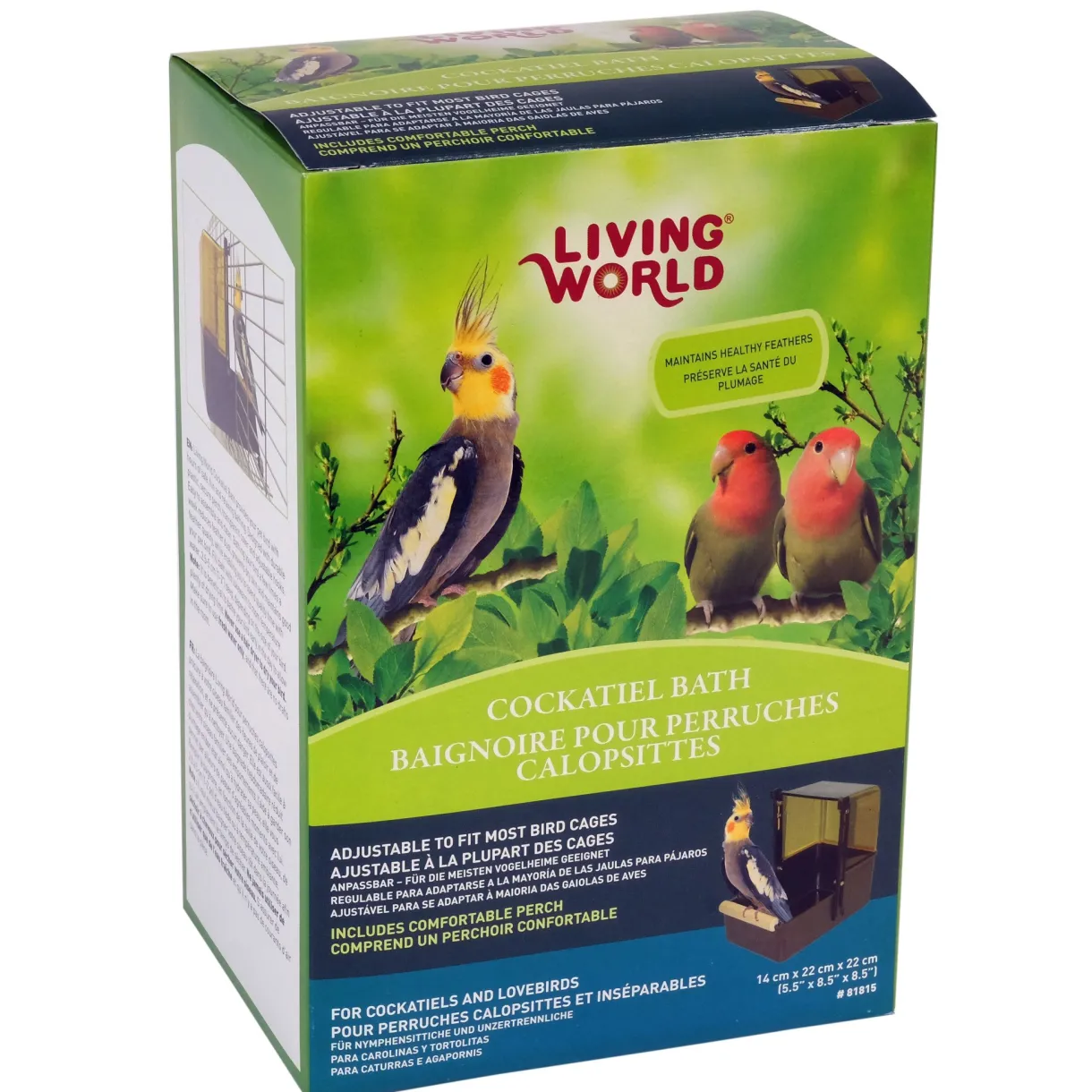 Cockatiel Bath