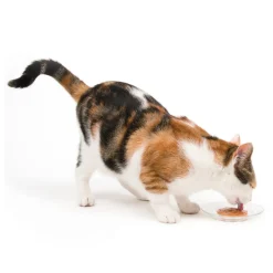 Creamy Lickable Cat Treat Chicken & Liver 12 Pack