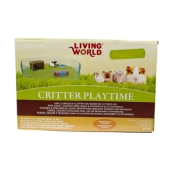 Critter Playtime