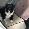 Deluxe Car Seat Cover Tan