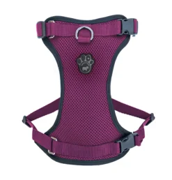 Everything Harness