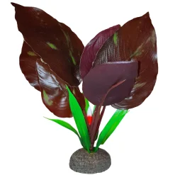 Fluval Betta Red Lizard Plant 15cm (6")