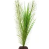 Fluval Green Parrot's Feather/Valisneria Plant 16"
