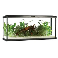 Fluval Premium Aquarium Kit with LED - 55 - 208 L (55 US Gal)