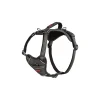 Halti Anatomy Harness