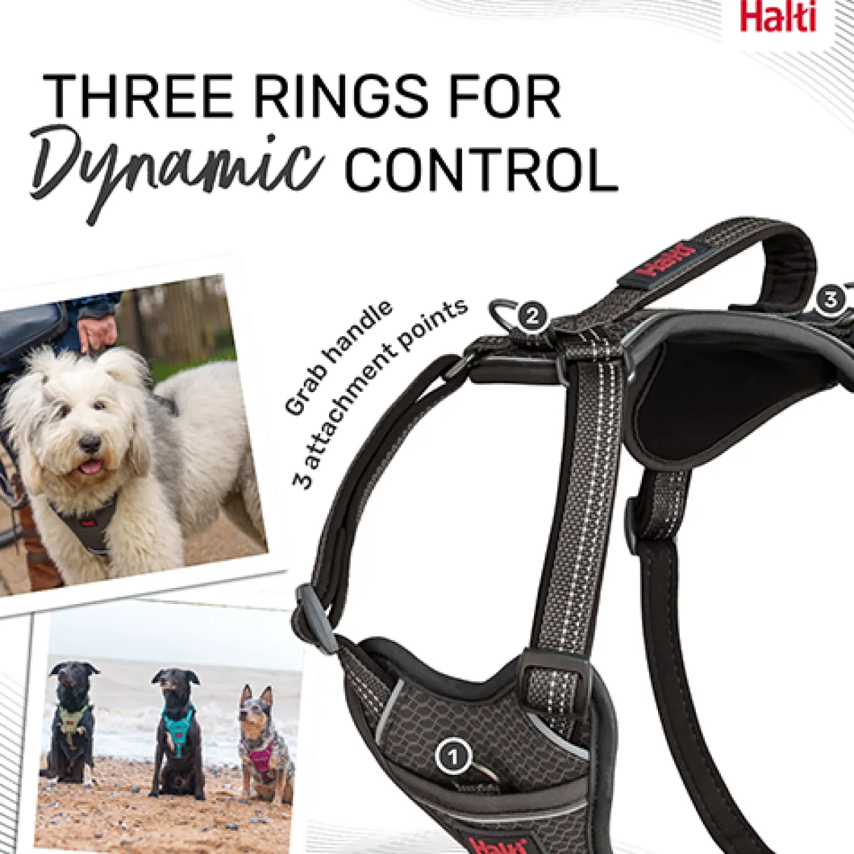 Halti Anatomy Harness