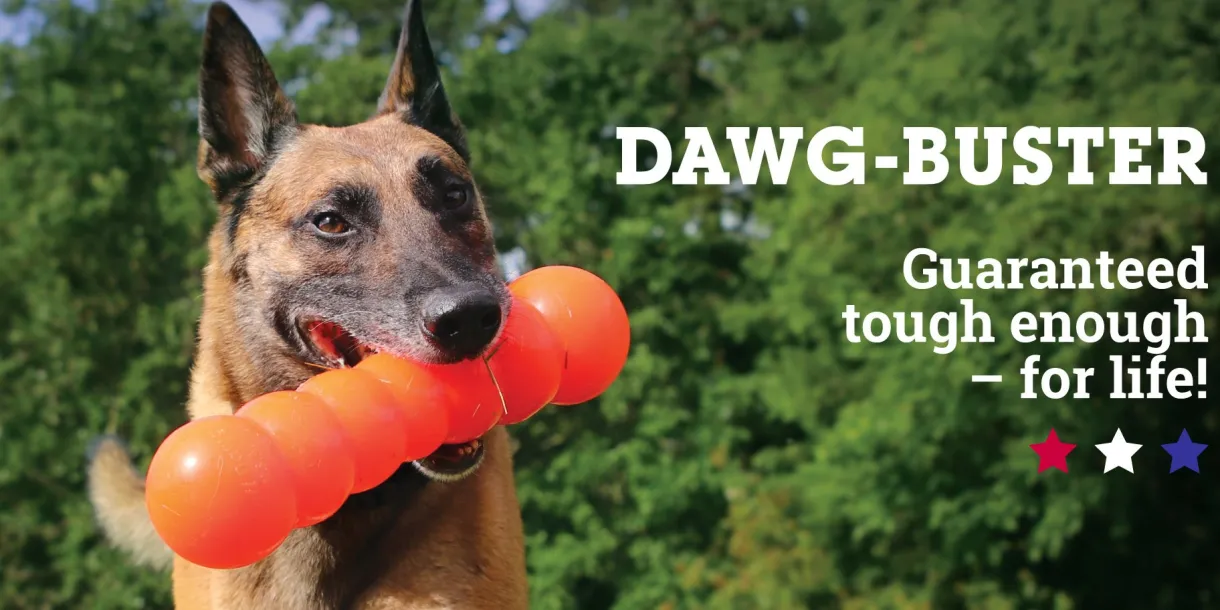 Indestructible Rubber Dawg-Buster Assorted Regular 8.5"x2.5"