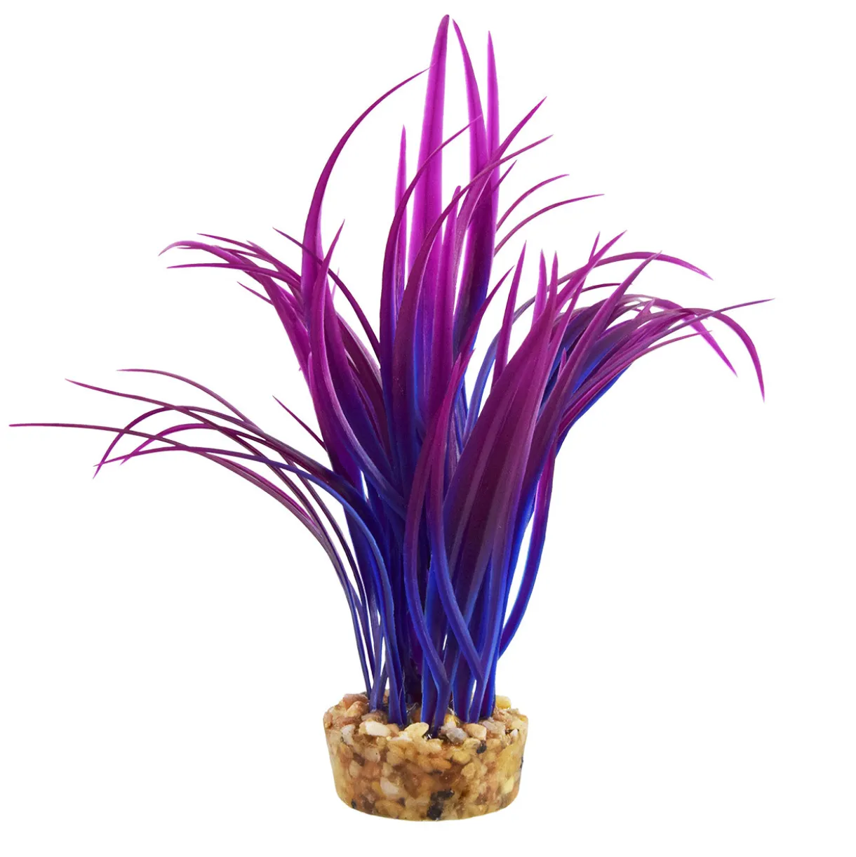 Japonica Purple 6" Aquarium Plant