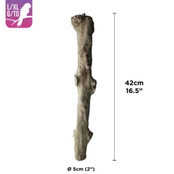 Java Coffee Wood Perch for Large/XLarge Parrots 5cm (2