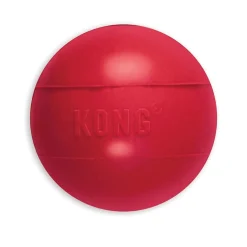 Kong Ball Small