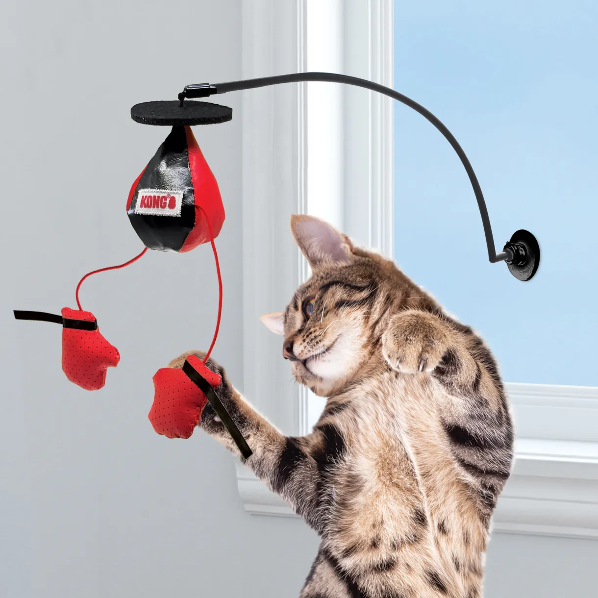 Kong Connects Window Boxing Cat Toy