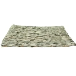 Living World Hangout Grass Mat - Medium - 33 x 23 cm (13 x 9 in)