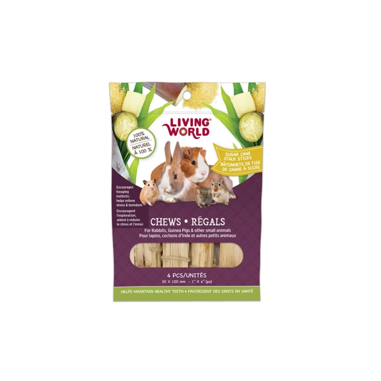 Living World Small Animal Chews - Sugarcane Stalk Sticks - 4 pieces