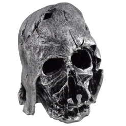 Mask Ruin
