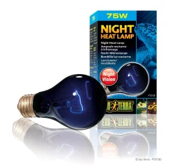 Night Heat Lamp - A19 / 75W