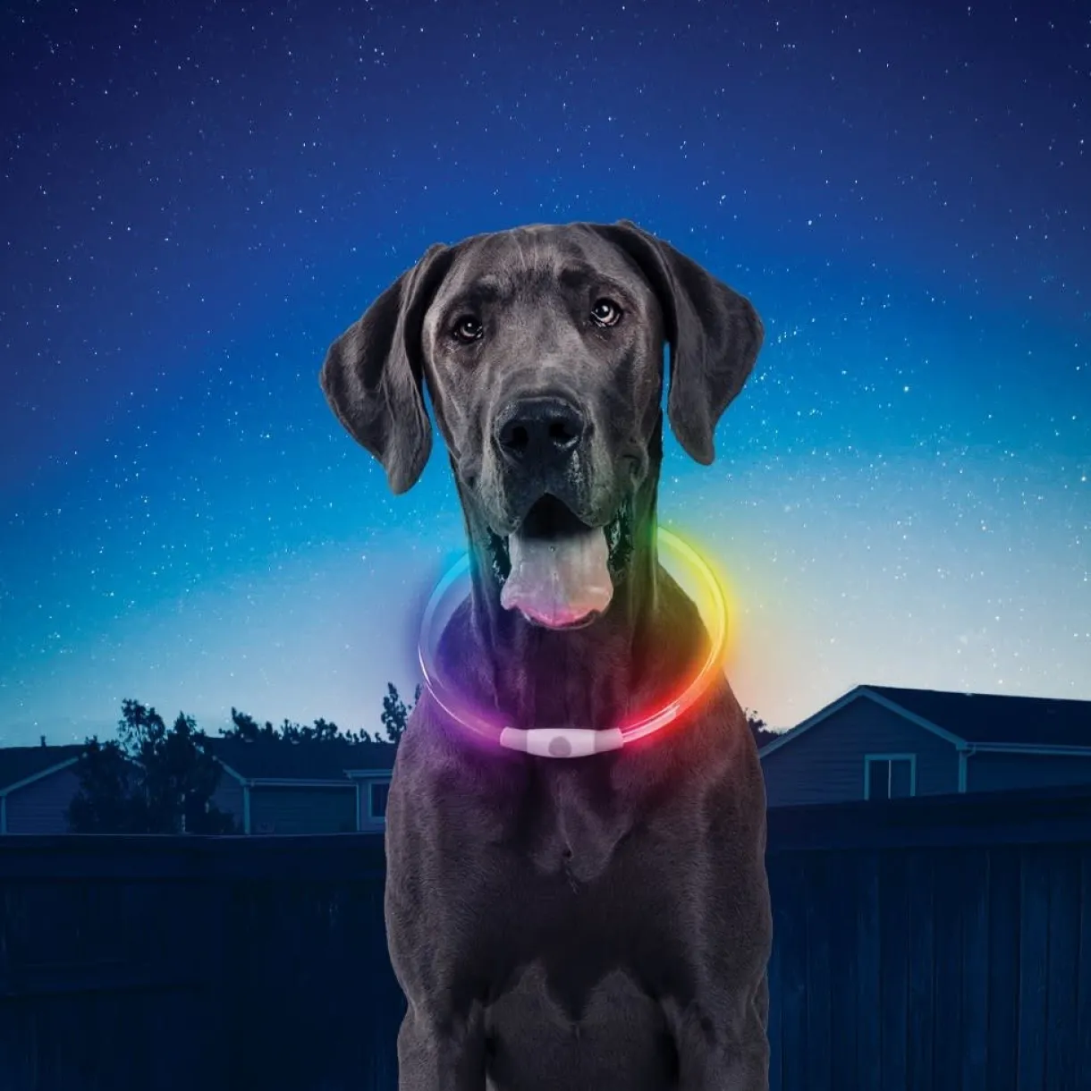 Nitehowl Rechargeable LED Safety Necklace Disc-O Select