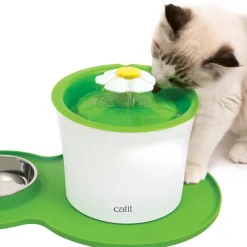 Peanut Placemat Green