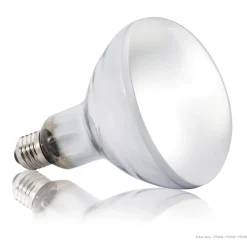 Solar Glo - 125W