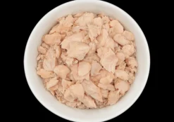 Tiki Cat Wild Salmon in Salmon Consomme Wet Cat Food 2.8oz