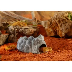 Wet Rock Medium