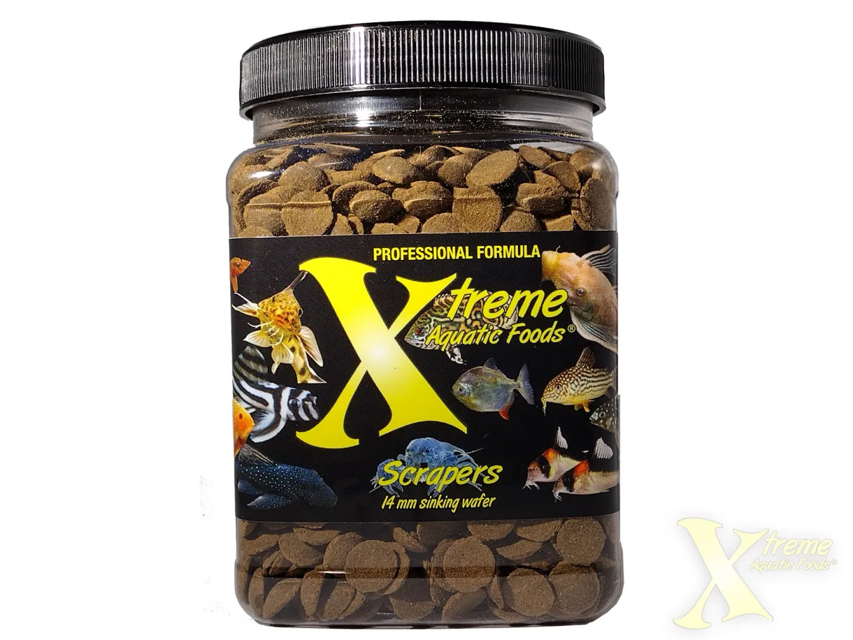 Xtreme Scrapers 510g