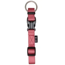 Zeus Adjustable Nylon Dog Collar