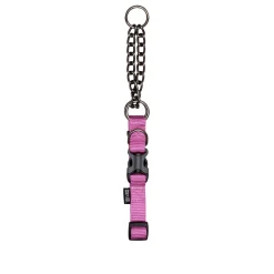 Zeus Martingale Dog Collar