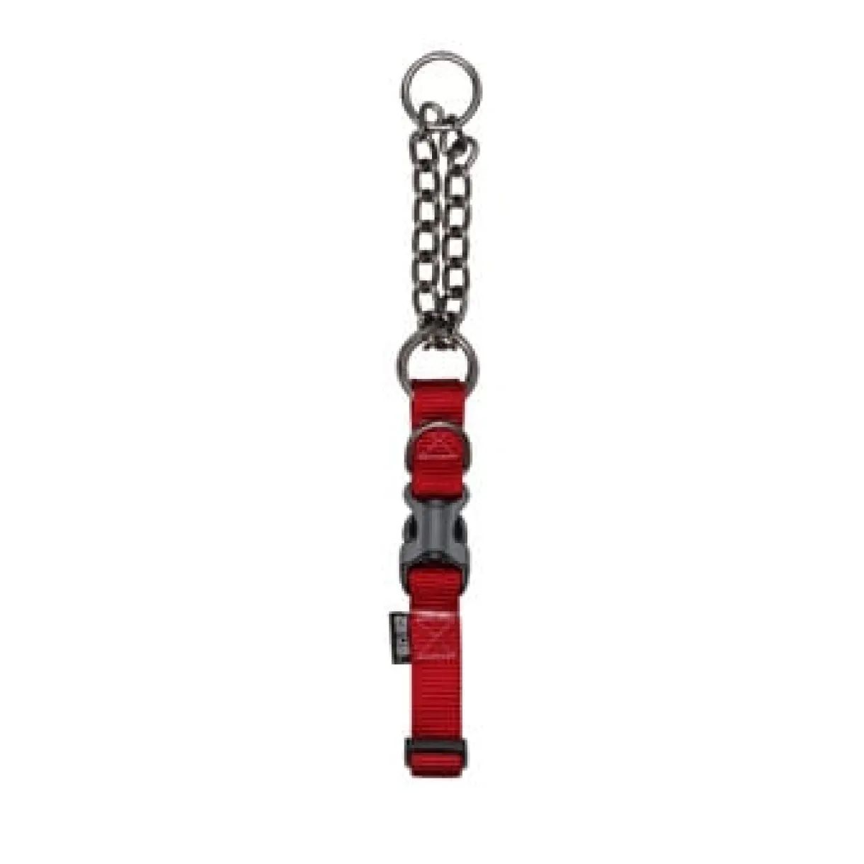 Zeus Martingale Dog Collar