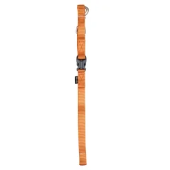Zeus Nylon Leash With Handle Buckle
